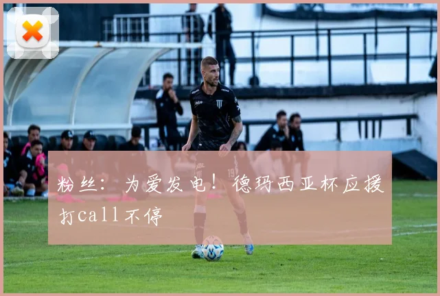 粉丝：为爱发电！德玛西亚杯应援打call不停